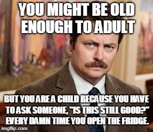 Ron Swanson Meme | YOU MIGHT BE OLD ENOUGH TO ADULT; BUT YOU ARE A CHILD BECAUSE YOU HAVE TO ASK SOMEONE, "IS THIS STILL GOOD?" EVERY DAMN TIME YOU OPEN THE FRIDGE. | image tagged in memes,ron swanson | made w/ Imgflip meme maker