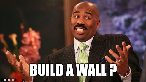 BUILD A WALL ? | image tagged in memes,steve harvey | made w/ Imgflip meme maker