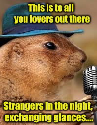 Singing Hamster  | This is to all you lovers out there; Strangers in the night, exchanging glances.... | image tagged in hamster weekend,singing,singing hamster,funny meme,funny animals | made w/ Imgflip meme maker