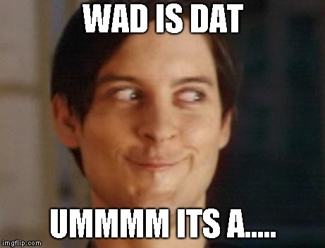 ummmm whatever its called | WAD IS DAT; UMMMM ITS A..... | image tagged in memes | made w/ Imgflip meme maker