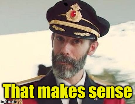 Captain Obvious | That makes sense | image tagged in captain obvious | made w/ Imgflip meme maker