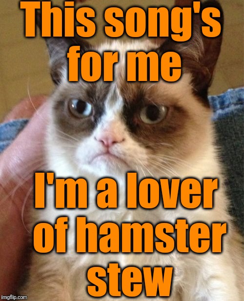 Grumpy Cat Meme | This song's for me I'm a lover of hamster stew | image tagged in memes,grumpy cat | made w/ Imgflip meme maker