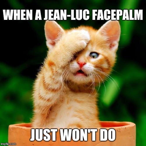 WHEN A JEAN-LUC FACEPALM; JUST WON'T DO | image tagged in captain picard facepalm | made w/ Imgflip meme maker