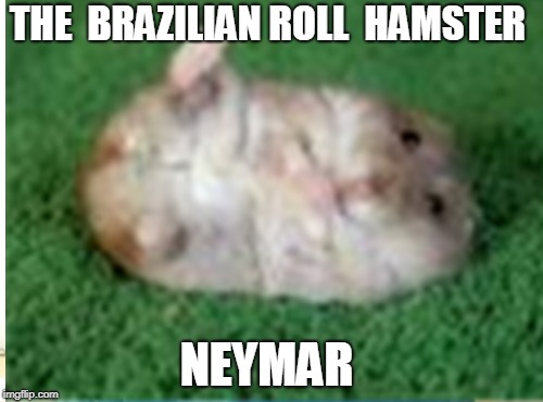 THE  BRAZILIAN ROLL  HAMSTER; NEYMAR | image tagged in trolling,hamster weekend,neymar | made w/ Imgflip meme maker