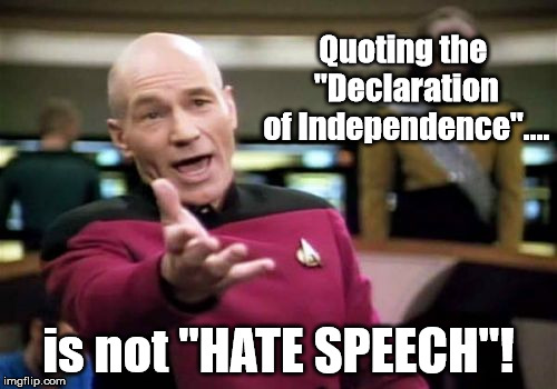 Picard Wtf | Quoting the "Declaration of Independence".... is not "HATE SPEECH"! | image tagged in memes,picard wtf | made w/ Imgflip meme maker
