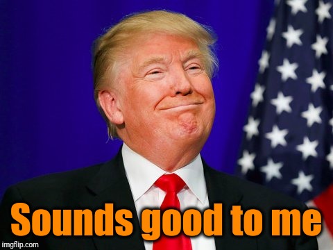 Trump Smile | Sounds good to me | image tagged in trump smile | made w/ Imgflip meme maker