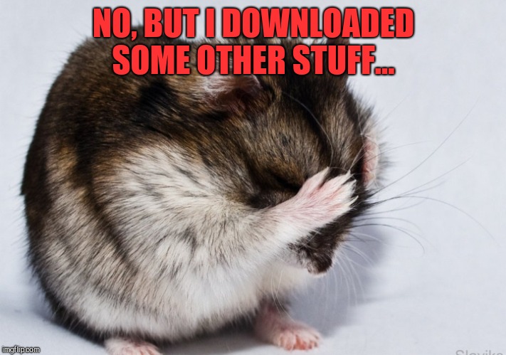Staring Hamster Meme Pfp Editor - Walter GIFs | Tenor : None of the