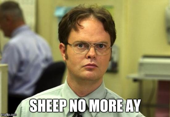 Dwight Schrute Meme | SHEEP NO MORE AY | image tagged in memes,dwight schrute | made w/ Imgflip meme maker