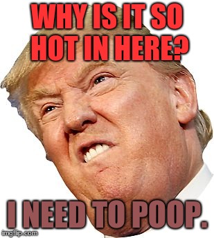 WHY IS IT SO HOT IN HERE? I NEED TO POOP. | image tagged in donald trump,pooping,oddly warm room,i need to poop | made w/ Imgflip meme maker