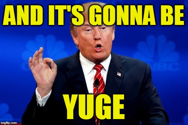 YUGE IDIOT | AND IT'S GONNA BE YUGE | image tagged in yuge idiot | made w/ Imgflip meme maker