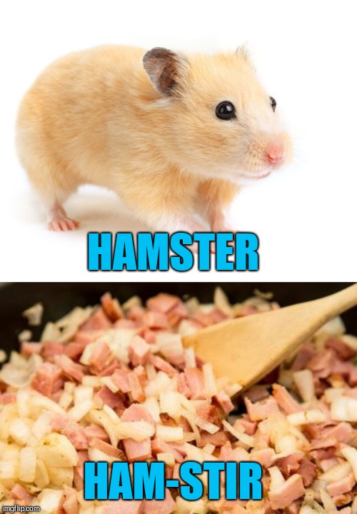 Hamster Weekend July 6-8, a bachmemeguy2, 1forpeace & Shen_Hiroku_Nagato event | HAMSTER; HAM-STIR | image tagged in jbmemegeek,hamster weekend,bad puns,hamster | made w/ Imgflip meme maker