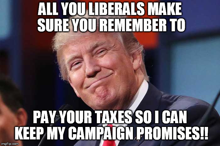 ALL YOU LIBERALS MAKE SURE YOU REMEMBER TO; PAY YOUR TAXES SO I CAN KEEP MY CAMPAIGN PROMISES!! | image tagged in trump | made w/ Imgflip meme maker