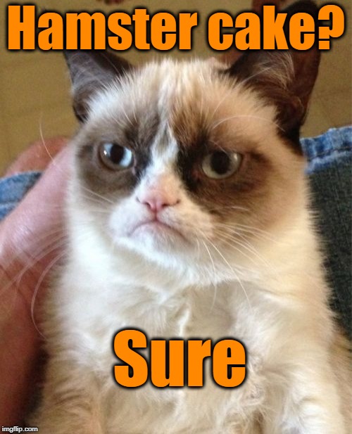Grumpy Cat Meme | Hamster cake? Sure | image tagged in memes,grumpy cat | made w/ Imgflip meme maker