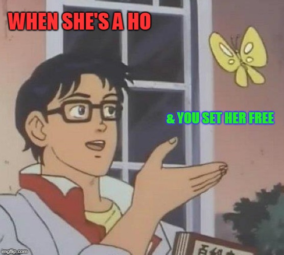 Is This A Pigeon Meme | WHEN SHE'S A HO; & YOU SET HER FREE | image tagged in memes,is this a pigeon | made w/ Imgflip meme maker
