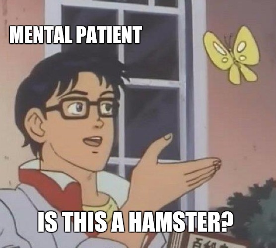 Is This A Pigeon Meme | MENTAL PATIENT IS THIS A HAMSTER? | image tagged in memes,is this a pigeon | made w/ Imgflip meme maker