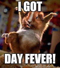 I GOT DAY FEVER! | made w/ Imgflip meme maker