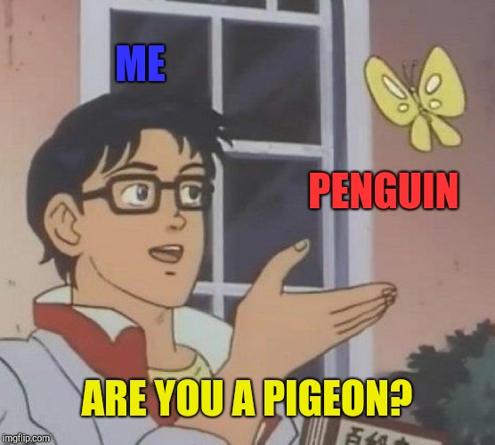 Are you a pigeon? | ME; PENGUIN; ARE YOU A PIGEON? | image tagged in memes,are you a pigeon | made w/ Imgflip meme maker