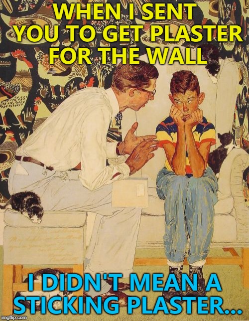 Anything that covers up that wallpaper will be good... :) | WHEN I SENT YOU TO GET PLASTER FOR THE WALL; I DIDN'T MEAN A STICKING PLASTER... | image tagged in memes,the probelm is,the problem is,plaster | made w/ Imgflip meme maker