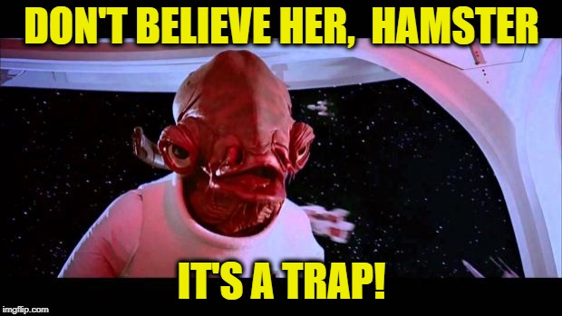 It's a trap  | DON'T BELIEVE HER,  HAMSTER IT'S A TRAP! | image tagged in it's a trap | made w/ Imgflip meme maker