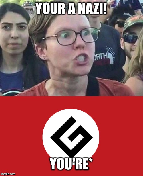 Based on real events! | YOUR A NAZI! YOU'RE* | image tagged in triggered liberal,grammar nazi | made w/ Imgflip meme maker