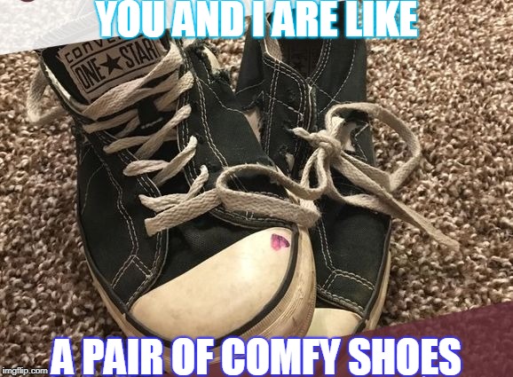 YOU AND I ARE LIKE; A PAIR OF COMFY SHOES | image tagged in comfy shoes | made w/ Imgflip meme maker