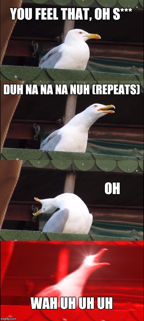 Inhaling Seagull | YOU FEEL THAT, OH S***; DUH NA NA NA NUH (REPEATS); OH; WAH UH UH UH | image tagged in memes,inhaling seagull | made w/ Imgflip meme maker