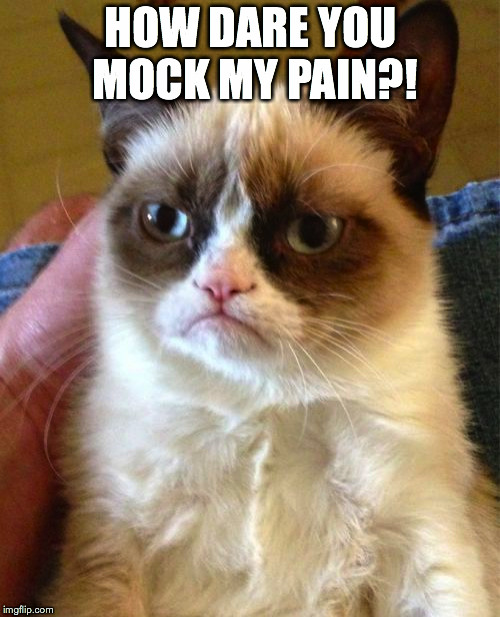 Grumpy Cat Meme | HOW DARE YOU MOCK MY PAIN?! | image tagged in memes,grumpy cat | made w/ Imgflip meme maker