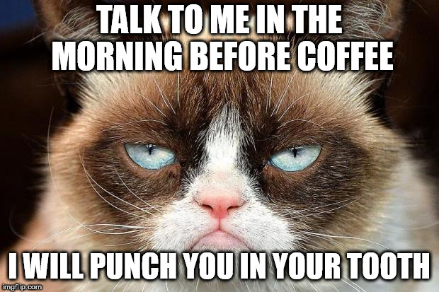 Grumpy Cat Not Amused Meme | TALK TO ME IN THE MORNING BEFORE COFFEE; I WILL PUNCH YOU IN YOUR TOOTH | image tagged in memes,grumpy cat not amused,grumpy cat | made w/ Imgflip meme maker