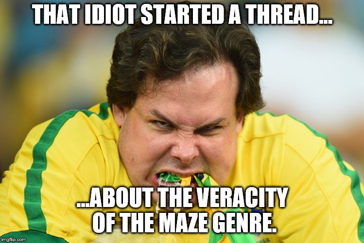 THAT IDIOT STARTED A THREAD... ...ABOUT THE VERACITY OF THE MAZE GENRE. | image tagged in wbraz | made w/ Imgflip meme maker
