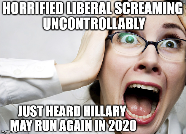 Horrified Liberal | HORRIFIED LIBERAL SCREAMING UNCONTROLLABLY; JUST HEARD HILLARY MAY RUN AGAIN IN 2020 | image tagged in horrified liberal | made w/ Imgflip meme maker
