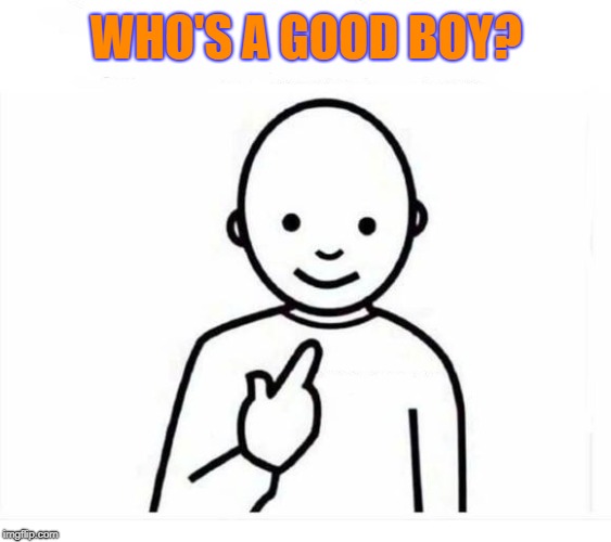 Who's a | WHO'S A GOOD BOY? | image tagged in who is,goodboy,me,memes | made w/ Imgflip meme maker