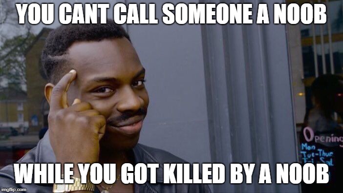 Pure Logic | YOU CANT CALL SOMEONE A NOOB; WHILE YOU GOT KILLED BY A NOOB | image tagged in memes,roll safe think about it | made w/ Imgflip meme maker