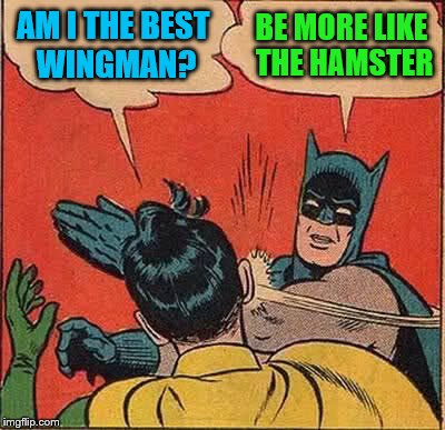 Batman Slapping Robin Meme | AM I THE BEST WINGMAN? BE MORE LIKE THE HAMSTER | image tagged in memes,batman slapping robin | made w/ Imgflip meme maker