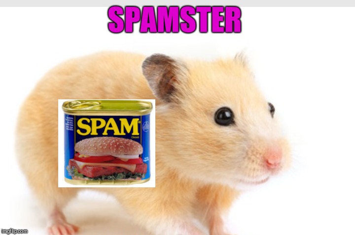 SPAMSTER | made w/ Imgflip meme maker