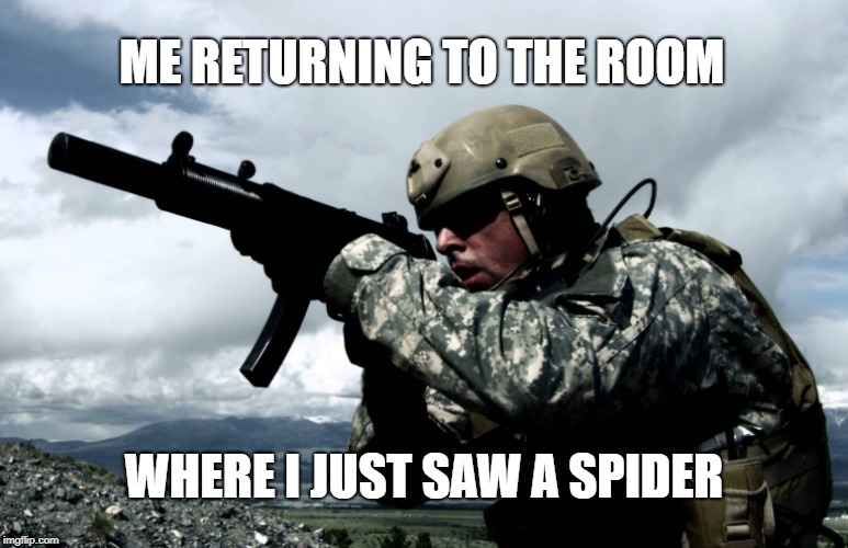 Pretty sure it was a tarantula. | ME RETURNING TO THE ROOM; WHERE I JUST SAW A SPIDER | image tagged in spider,military,tarantula | made w/ Imgflip meme maker