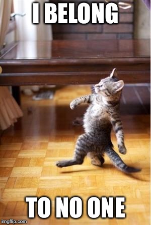 Walking Cat | I BELONG TO NO ONE | image tagged in walking cat | made w/ Imgflip meme maker