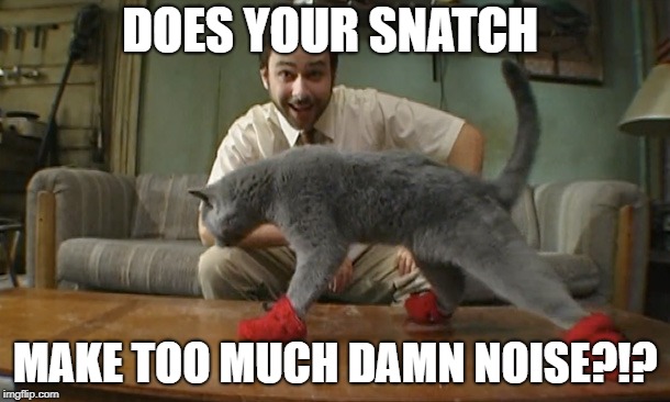 Kitten Mittens | DOES YOUR SNATCH; MAKE TOO MUCH DAMN NOISE?!? | image tagged in kitten mittens | made w/ Imgflip meme maker
