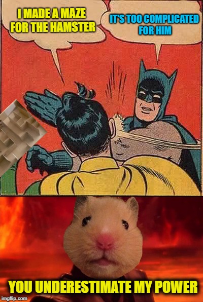 Jedi Hamster | IT'S TOO COMPLICATED FOR HIM; I MADE A MAZE FOR THE HAMSTER; YOU UNDERESTIMATE MY POWER | image tagged in funny memes,hamster weekend,hamster,batman,jedi | made w/ Imgflip meme maker
