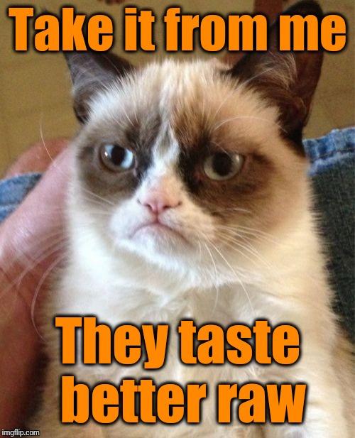 Grumpy Cat Meme | Take it from me They taste better raw | image tagged in memes,grumpy cat | made w/ Imgflip meme maker