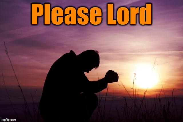 Pray | Please Lord | image tagged in pray | made w/ Imgflip meme maker