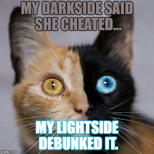 Double Cat | MY DARKSIDE SAID SHE CHEATED... MY LIGHTSIDE DEBUNKED IT. | image tagged in double cat | made w/ Imgflip meme maker