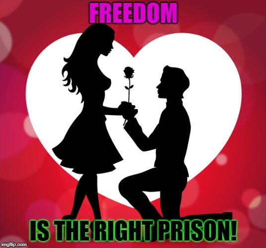 Freedom | FREEDOM; IS THE RIGHT PRISON! | image tagged in freedom | made w/ Imgflip meme maker