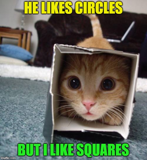 HE LIKES CIRCLES BUT I LIKE SQUARES | made w/ Imgflip meme maker