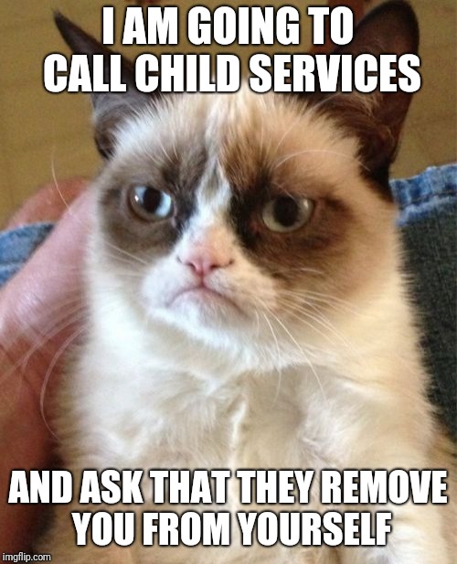 Grumpy Cat | I AM GOING TO CALL CHILD SERVICES; AND ASK THAT THEY REMOVE YOU FROM YOURSELF | image tagged in memes,grumpy cat | made w/ Imgflip meme maker