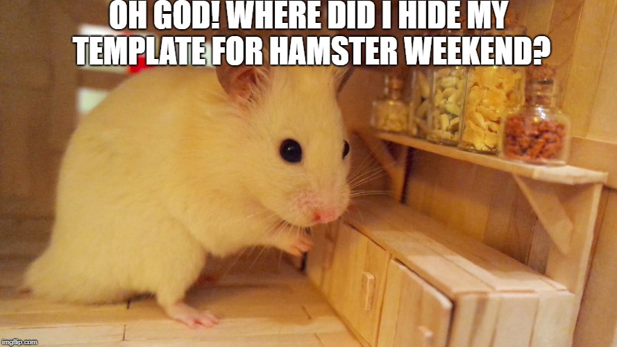 Finding Hamster | OH GOD! WHERE DID I HIDE MY TEMPLATE FOR HAMSTER WEEKEND? | image tagged in memes,hamster weekend,out of ideas | made w/ Imgflip meme maker