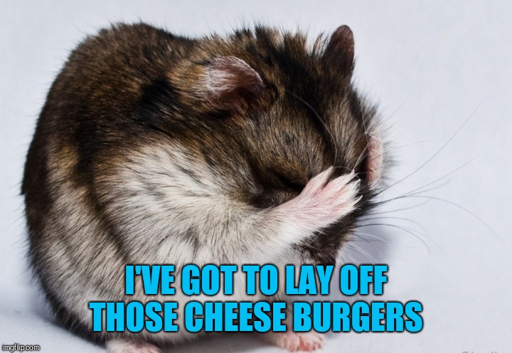 I'VE GOT TO LAY OFF THOSE CHEESE BURGERS | made w/ Imgflip meme maker