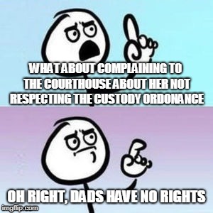 Nevermind | WHAT ABOUT COMPLAINING TO THE COURTHOUSE ABOUT HER NOT RESPECTING THE CUSTODY ORDONANCE OH RIGHT, DADS HAVE NO RIGHTS | image tagged in nevermind | made w/ Imgflip meme maker