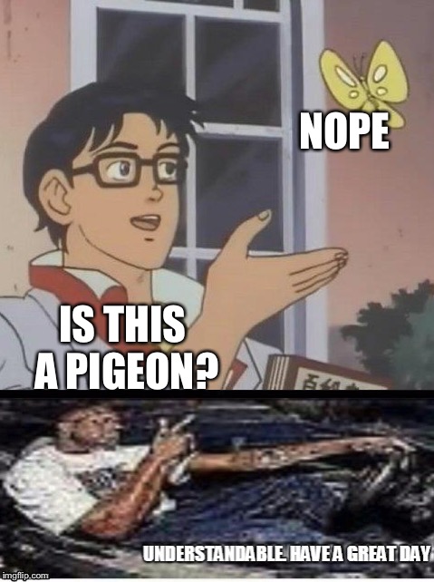 Understandable have a nice bird | NOPE; IS THIS A PIGEON? | image tagged in have a great day,have a nice day,is this a pigeon,understandable | made w/ Imgflip meme maker