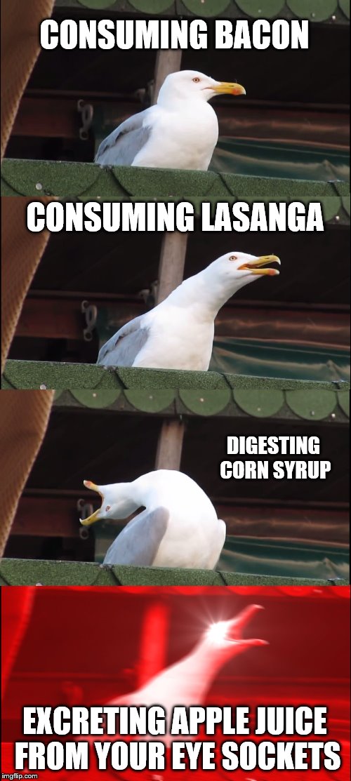 Inhaling Seagull Meme | CONSUMING BACON; CONSUMING LASANGA; DIGESTING CORN SYRUP; EXCRETING APPLE JUICE FROM YOUR EYE SOCKETS | image tagged in memes,inhaling seagull | made w/ Imgflip meme maker