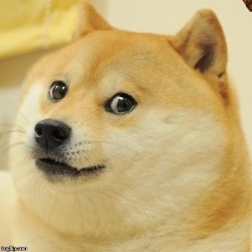 Doge Meme | image tagged in memes,doge,scumbag | made w/ Imgflip meme maker